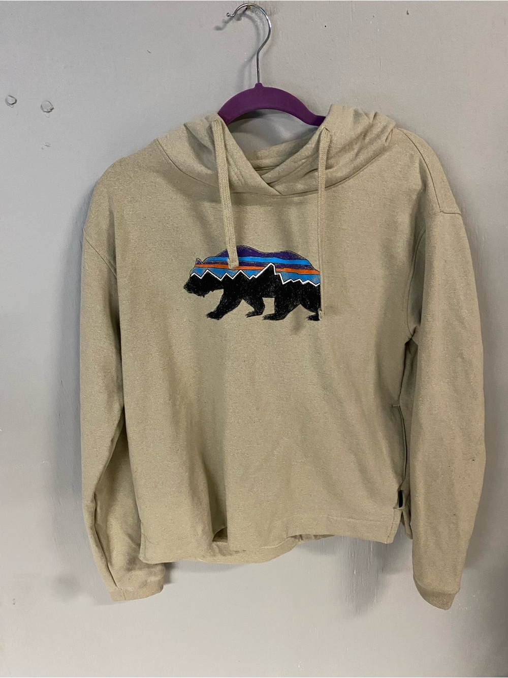 Patagonia Beige Bear Graphic Hoodie Sweatshirt